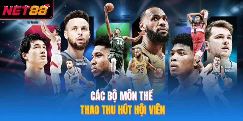 Các bộ môn thể thao thu hút hội viên